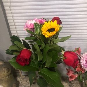 Meet your Posher, Jazlyn